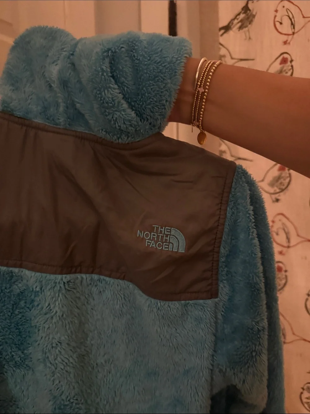 The North Face Women's Aqua Blue Plush Fleece Jacket with Gray Yoke